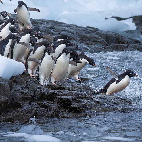 Lorem Ipsum is simply dummy text